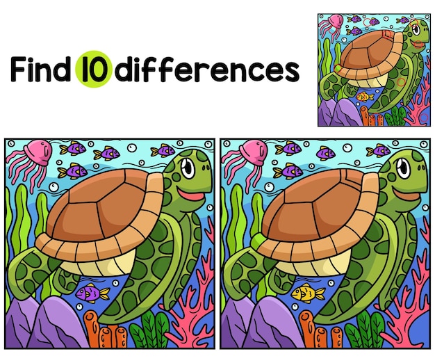 Animale tartaruga trova le differenze