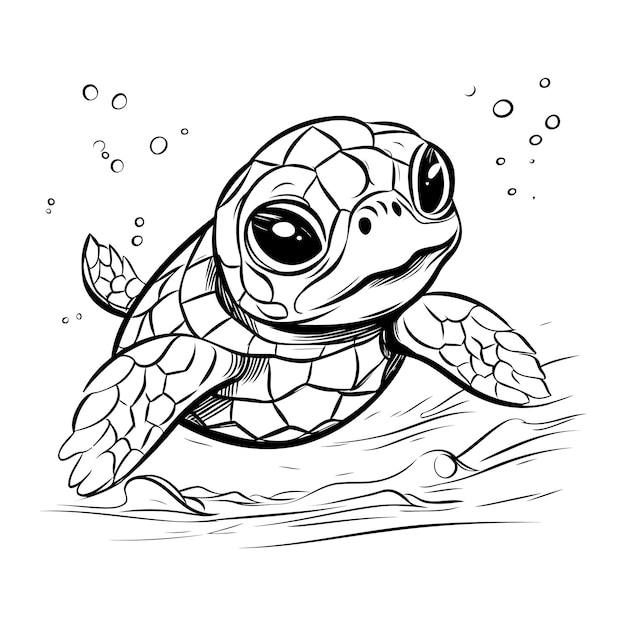 Turtle on the beach sketch for your design Vector illustration