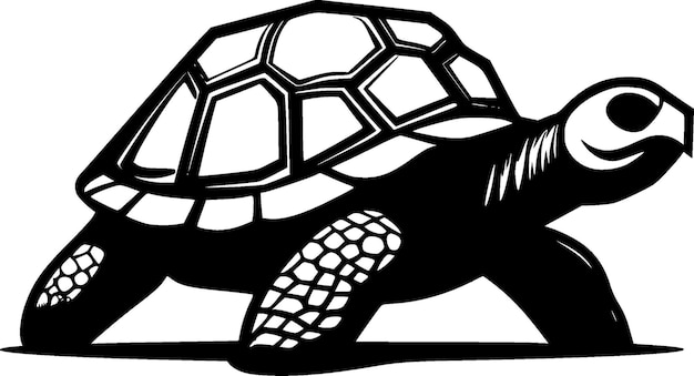 Vector turtle black and white vector illustration