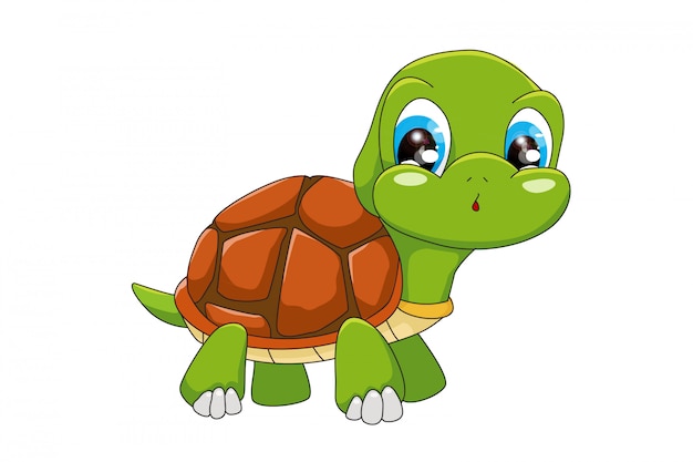 Vector turtle cartoon funny isolated on white background