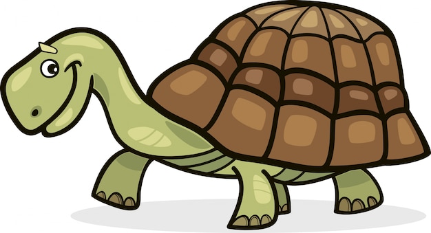 turtle cartoon illustration