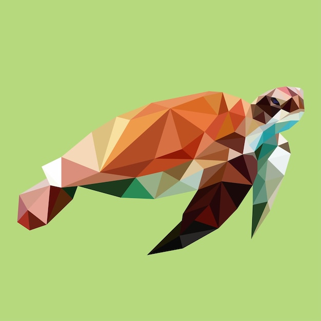 turtle in cartoon