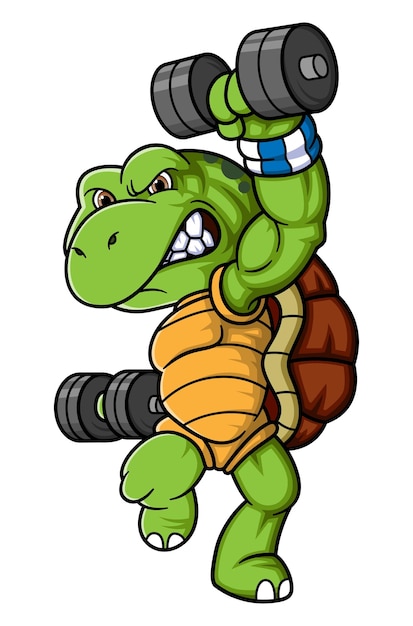 Turtle character with dumbbell weights pose