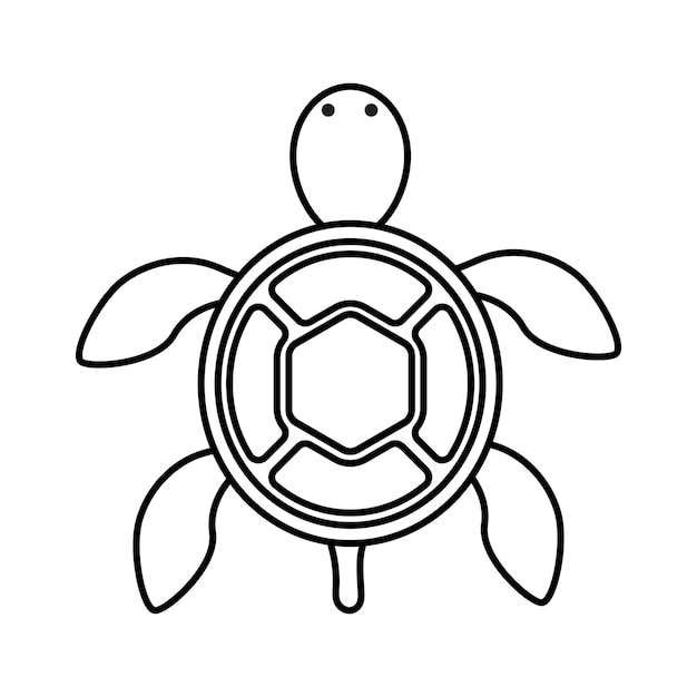 turtle coloring book