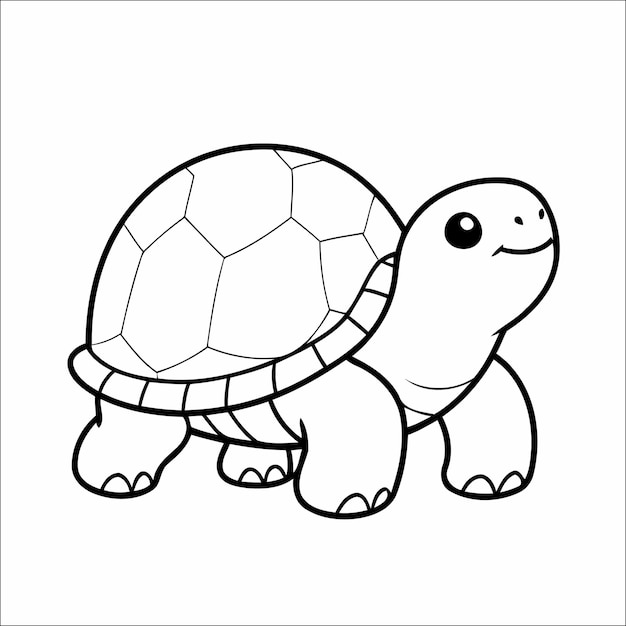 Turtle Coloring Page Drawing For Children