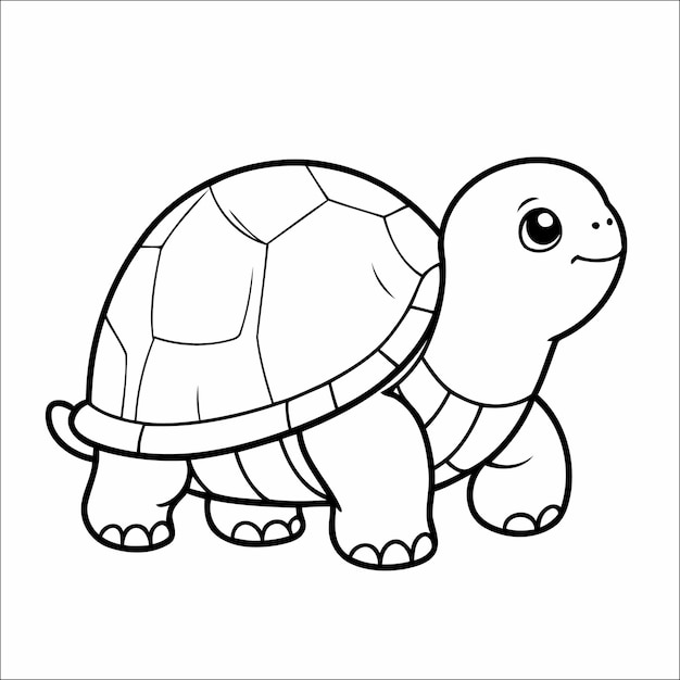 Turtle Coloring Page Drawing For Kids