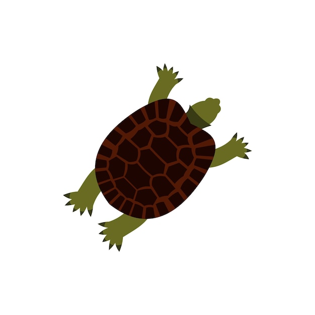 Иконка черепахи в плоском стиле выделена на белом фоне. Символ животного.