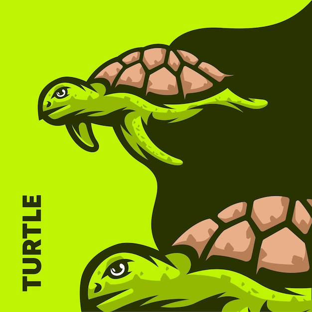 Turtle Illustration