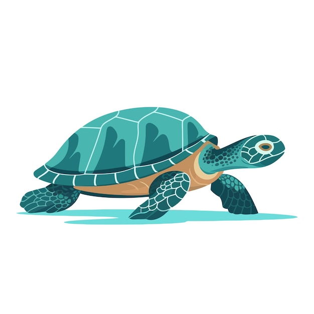 Изображение черепахи Абстрактный рисунок черепахи Симпатичная черепаха изолирована Векторная иллюстрация