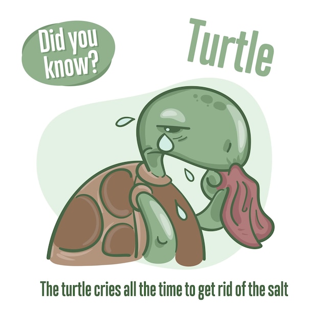 Vector turtle interesting facts about tortoise did you know