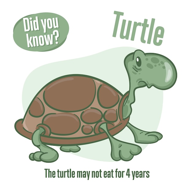 Turtle Interesting facts about tortoise Did you know