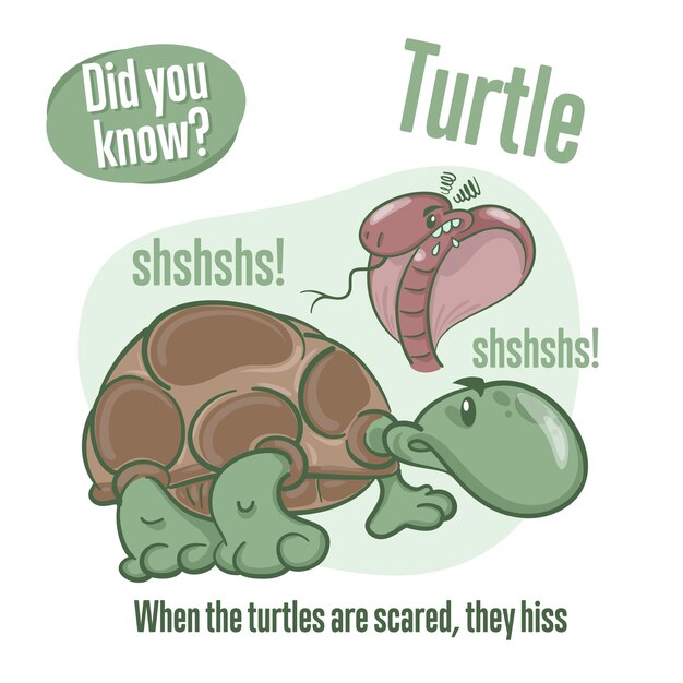 Vector turtle interesting facts about tortoise did you know