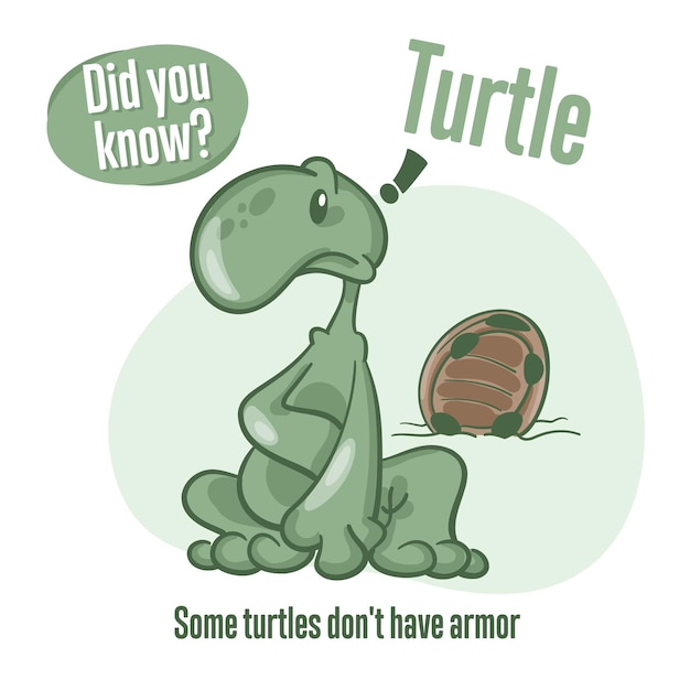 Turtle Interesting facts about tortoise Did you know