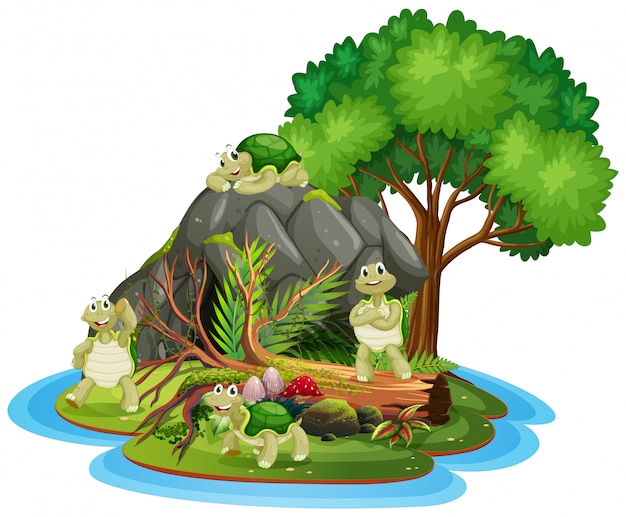 turtle on the isolated cave