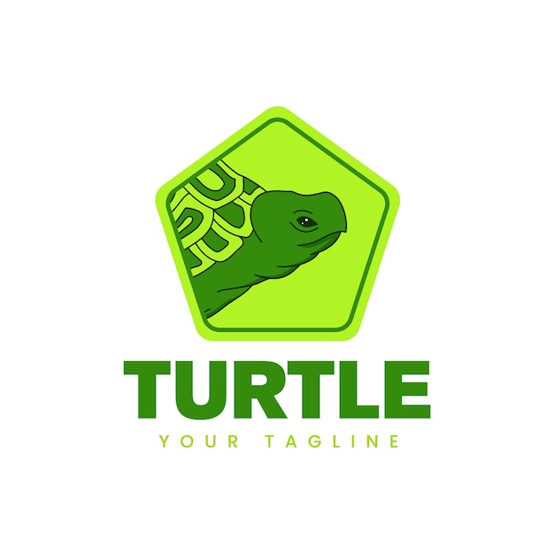 Turtle logo with a green hexagon