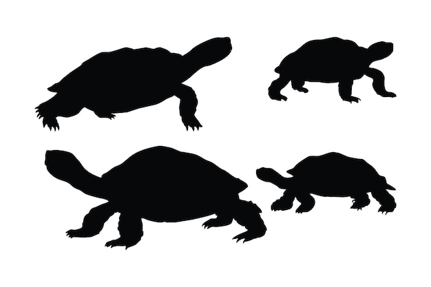 Набор силуэтов черепах Дикая черепаха стоит и ходит в разных позах Морские существа и рептилии, такие как силуэты черепах на белом фоне Коллекция силуэтов всего тела черепахи