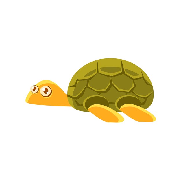 Turtle Toy Exotic Animal Drawing