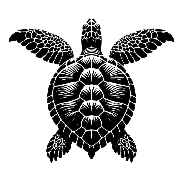 Premium Vector | Turtle vector silhouette illustration