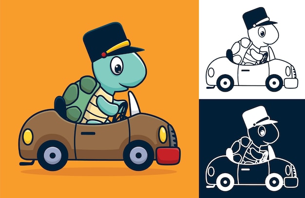 Turtle wearing hat on car.   cartoon illustration in flat icon style