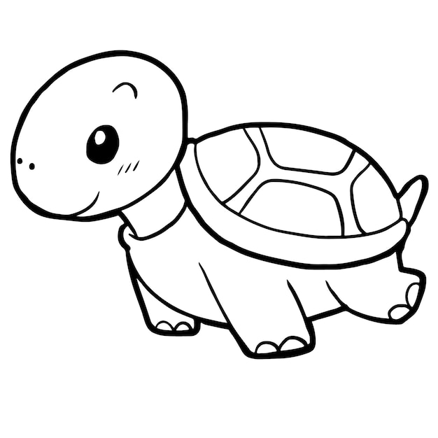 Vector turtle on a white background