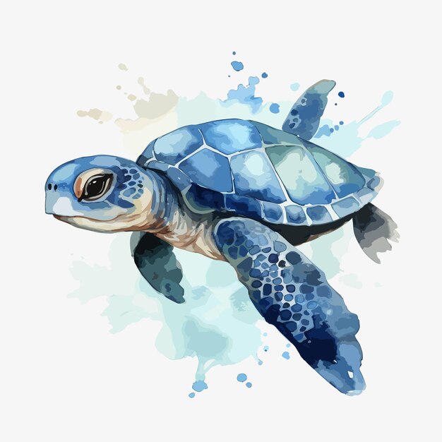 Vector a turtle with blue eyes is painted on a white background.