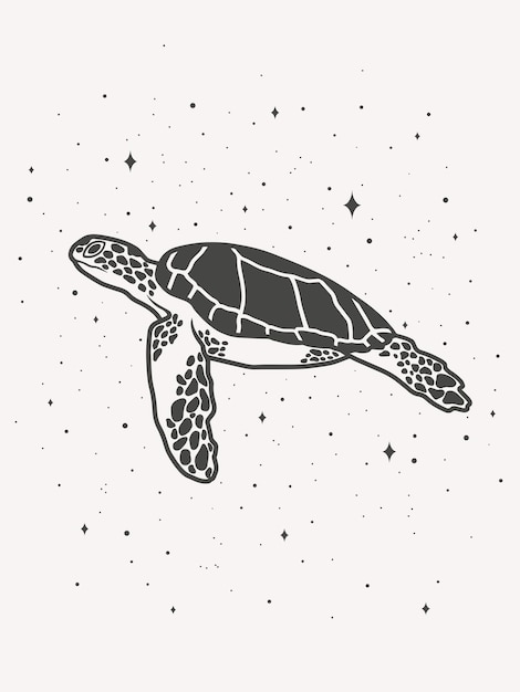 Turtle with stars, minimalistic vector art