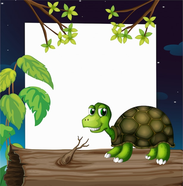 A turtle above the wood with an empty board at the back