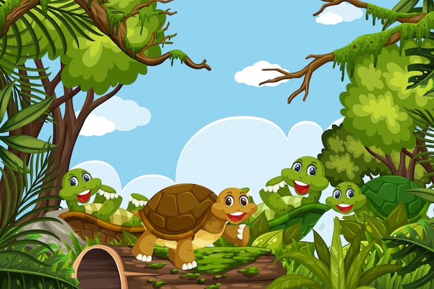 Turtles in jungle