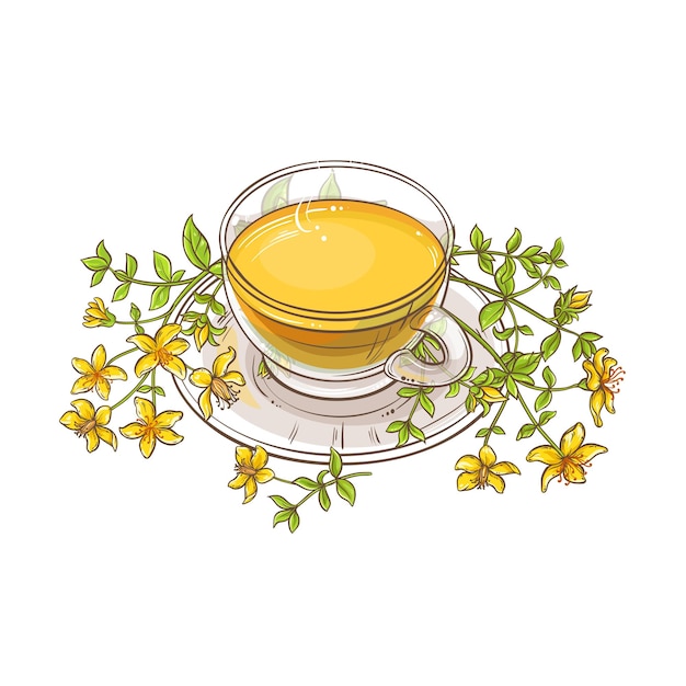 Вектор Векторная иллюстрация чайного тутсана на белом фоне
