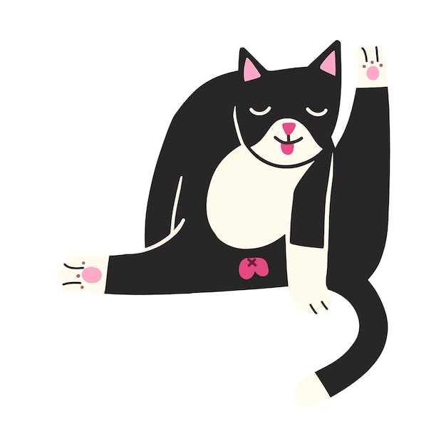 tuxedo cat stretching and grooming