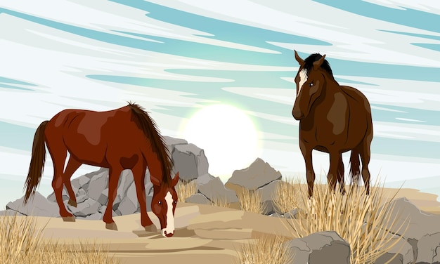 Twee bruine paarden in een rotsachtig woestijngebied met stenen en droog gras