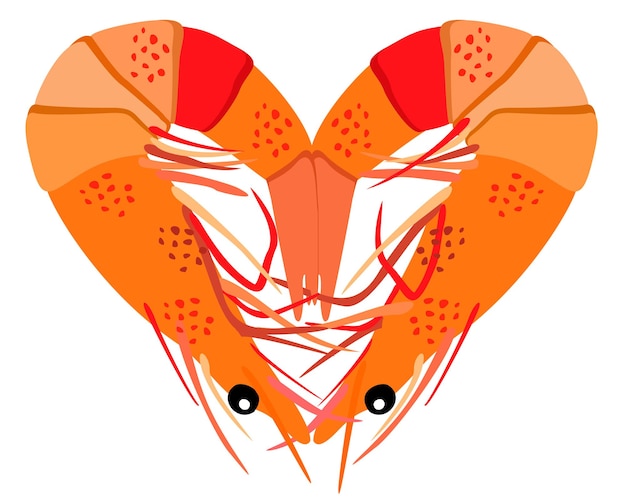 Twee garnalen die in een vorm van hart liggen. Heldere vector geïsoleerde illustratie.