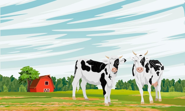 Twee gevlekte koeien in een weiland bij een grote schuur Boerderij en boerderijdieren Realistisch vectorlandschap