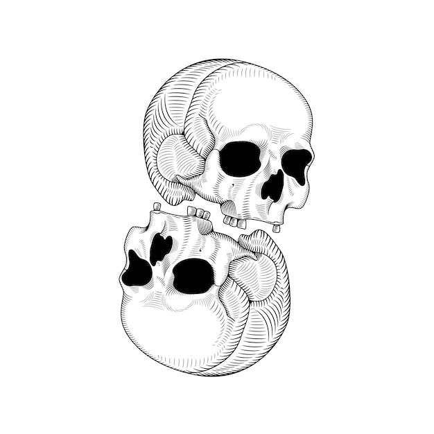 Twee hoofd schedel op en neer vectorillustratie