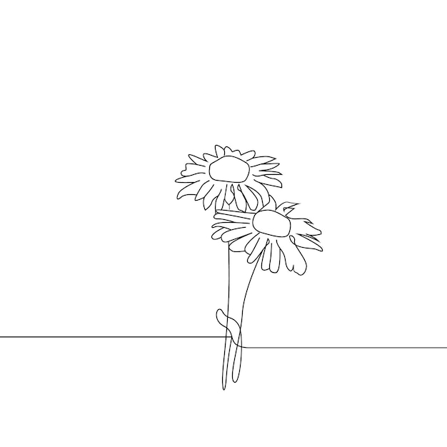 Twee madeliefjebloemen doorlopende tekening met één lijntekening