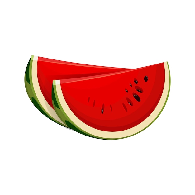 Twee sappige plakjes verse watermeloen. Vector illustratie.