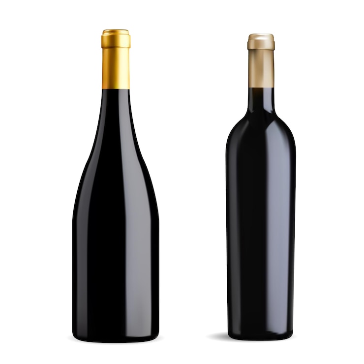 Vector twee wijnflesontwerp zwart glas rode pinot noir of bordeauxrode wijn lege geïsoleerde vector mockup