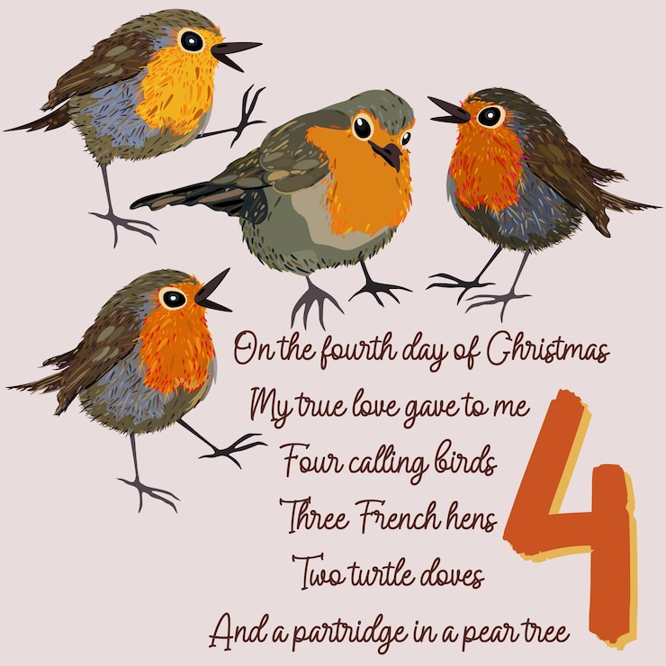 Vector the twelve days of christmas. fourth day. four calling birds. christmas concept.