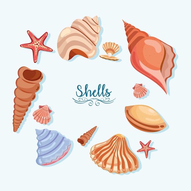 Vector twelve sea shells icons