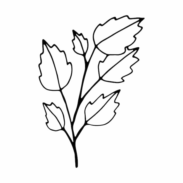 Twig single vector illustration .contour handmade image