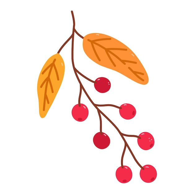 Twig with cranberries and golden leaves isolated on white background hand drawn flat illustration