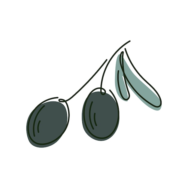 Twig with olive berries and leaves vector isolated line art illustration