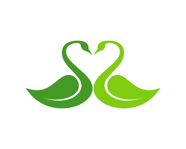 Vector twin green leaf swan with love shape neck