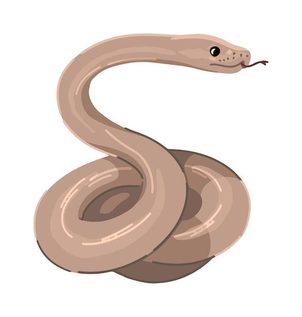 Serpente ritorto clipart isolato su bianco disegno in stile cartone animato di rettile di animali selvatici illustrazione vettoriale moderna della fauna raccapricciante di halloween