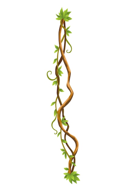 ねじれた野生のつる植物の枝のバナー