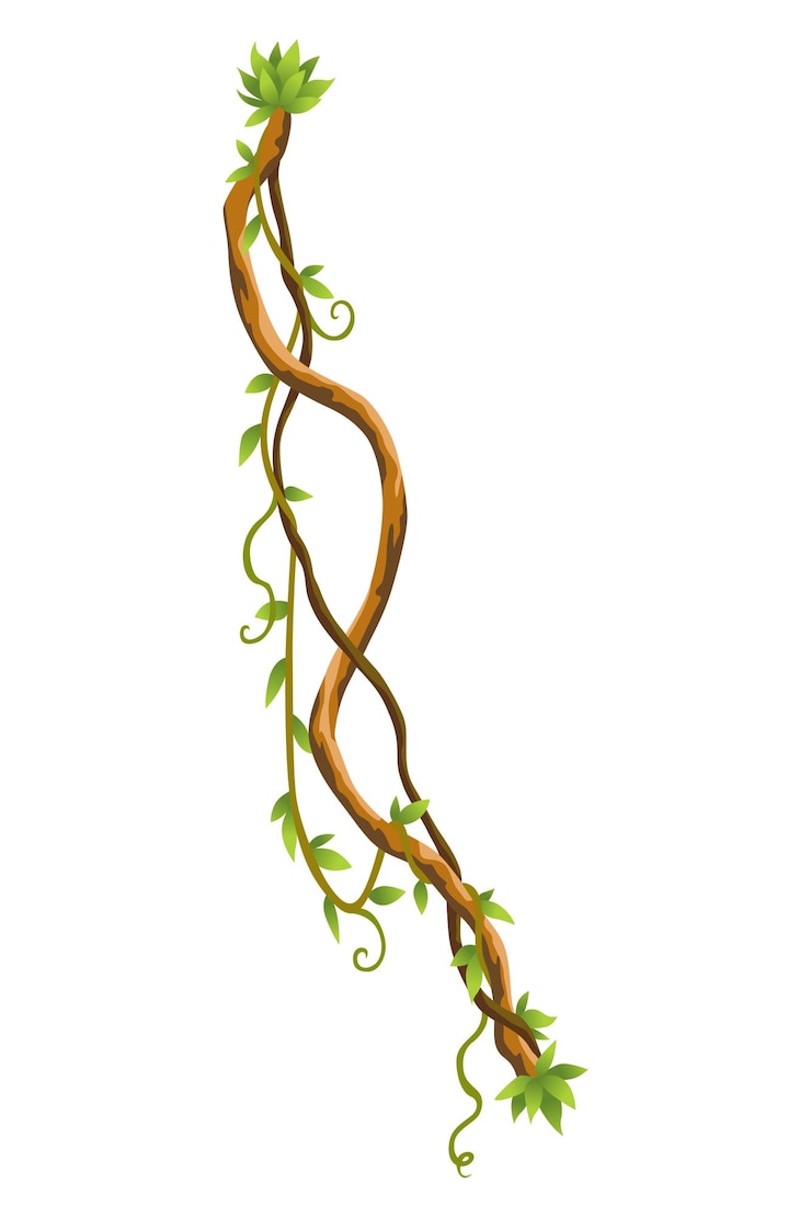 Vector twisted wild lianas branches banner jungle vine plants woody natural tropical rainforest exotic botany woody natural branches