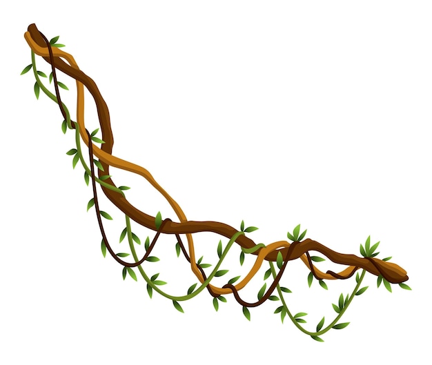 Twisted wild lianas branches banner Jungle vine plants Woody natural tropical rainforest exotic botany