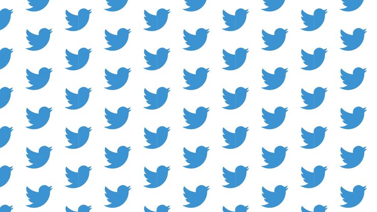 वेक्टर twitter bird social media pattern