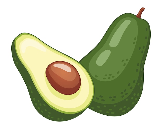 Two avocado halves vector illustration