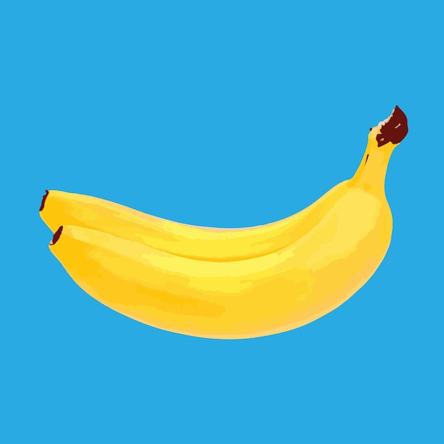 two Bananas isolated on blue background